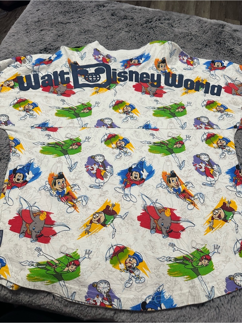 Disney Parks Animation Spirit Jersey